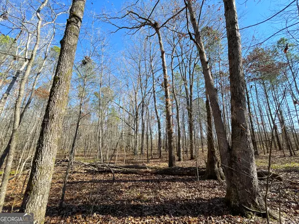 Cave Spring, GA 30124,94 acres off Buttermilk RD