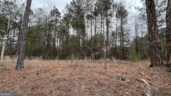 Soperton, GA 30457,00 Plantation Drive