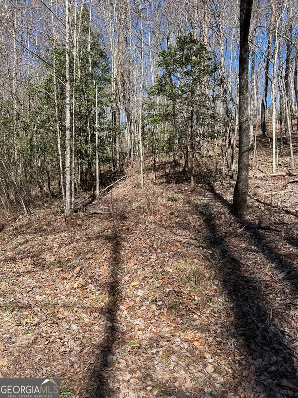 Blue Ridge, GA 30513,LOT 14 Haven WAY