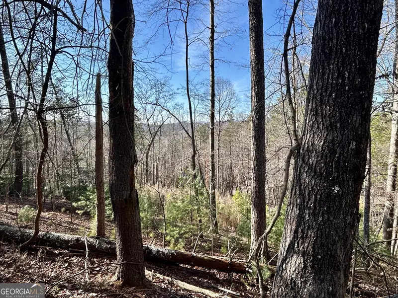 LOT 70R Tara Drive, Ellijay, GA 30540