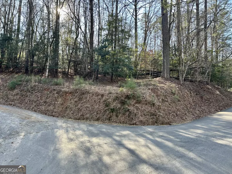 LOT 932 Matrix LN, Ellijay, GA 30540