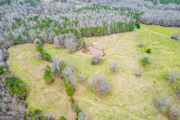 Monticello, GA 31064,0 Smithboro RD #137 ACRES