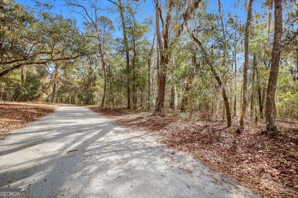 Woodbine, GA 31569,0 Drizzle Bluff RD