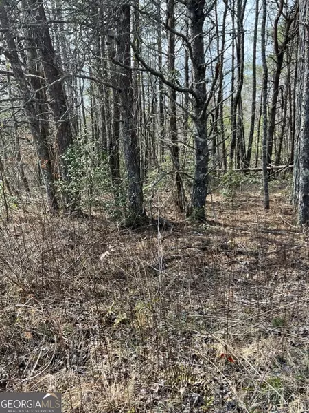 0 Roy RD #19.24 ACRES, East Ellijay, GA 30539