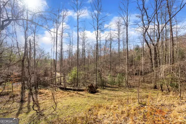 Mineral Bluff, GA 30559,0 Humphrey Mill