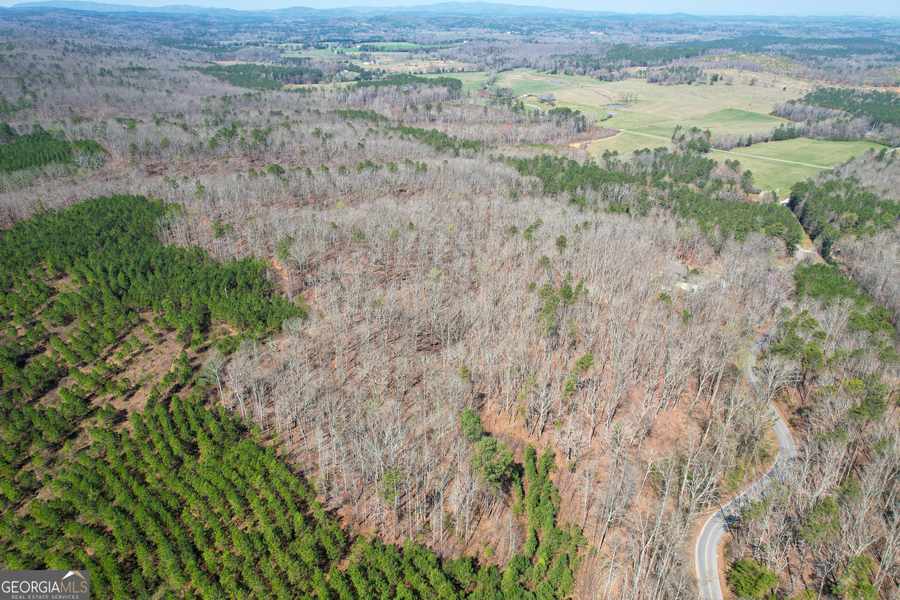 90.86 Acres on Youngs Station Rd., Cedartown, GA 30125