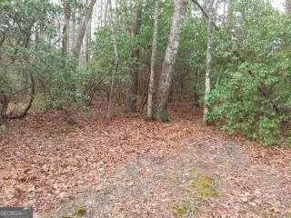 LOT 28 Chimney LN #28, Ellijay, GA 30536