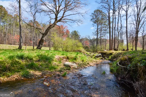 Ellijay, GA 30540,LOT 150R Blalock Mountain Rd