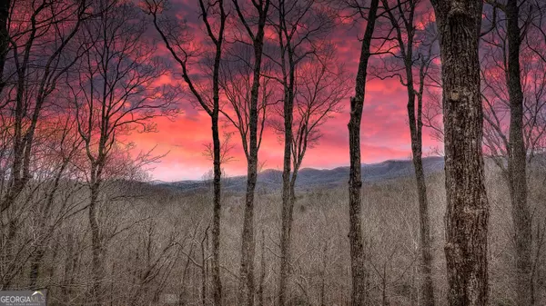 Cherry Log, GA 30522,203 Chimney Rock RD