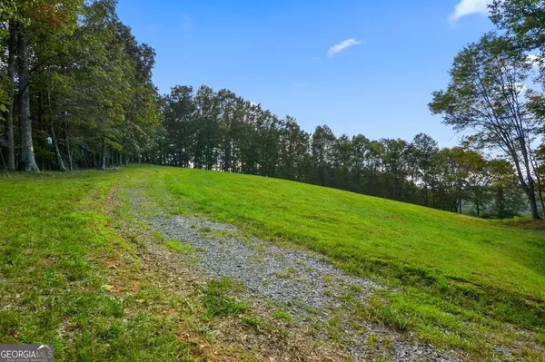 Morganton, GA 30560,LOT 50 Big Valley DR