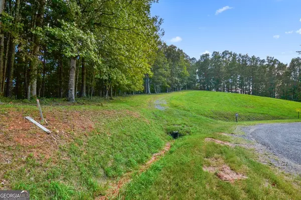 Morganton, GA 30560,LOT 50 Big Valley DR