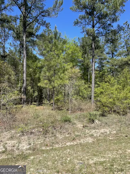 0 Creek Indian TRL #LOT 22, Dublin, GA 31021