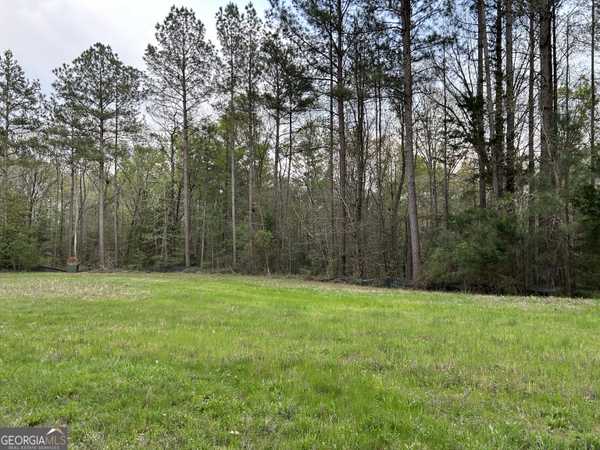 0 Panther PT, Elberton, GA 30635