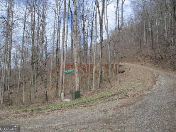 Hayesville, NC 28904,00 High Meadows Ridge