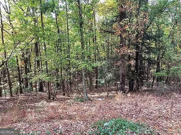 LOT 298 Etowah DR #298, Ellijay, GA 30540