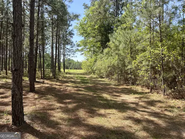 Brooklet, GA 30415,0 Old Happy Ln (TRACT 2)