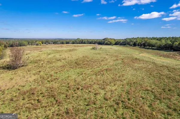 Madison, GA 30650,LOT 4 Mallory RD