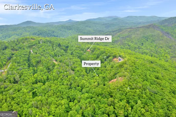 Clarkesville, GA 30523,LOT 50 Ivy Ridge Way