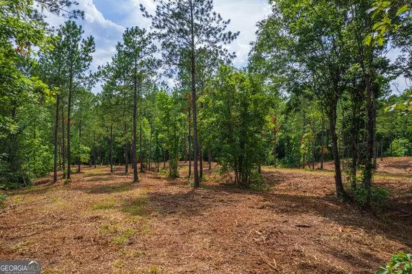 Juliette, GA 31046,0 Christian Road #LOT 3