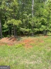 00 Bellewood DR #LOT A, Washington, GA 30673