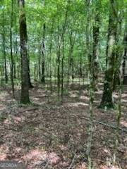 000 Bellewood DR #LOT B, Washington, GA 30673