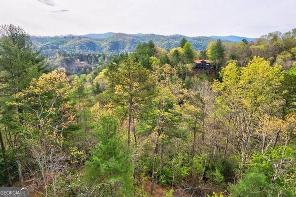 LOT 53 Community Hill DR, Blue Ridge, GA 30513