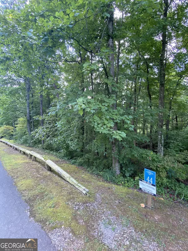 Ellijay, GA 30540,0 Harris Creek DR