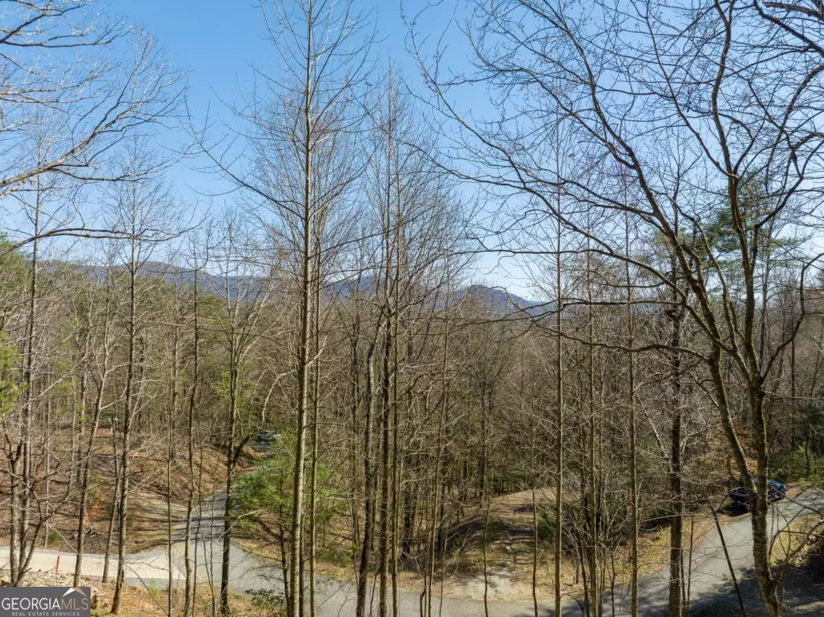 Ellijay, GA 30540,LOT 508 Chicasaw DR