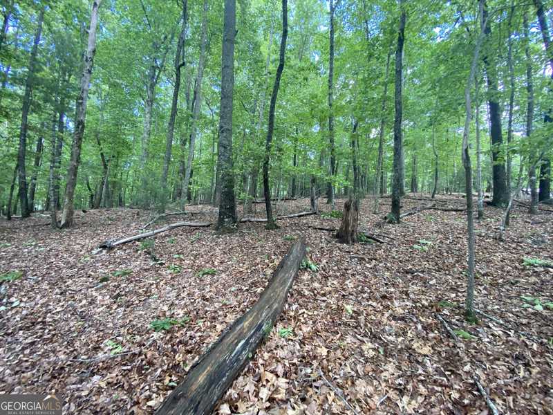 LOT 5 Mount Pleasant Ridge Road, Blairsville, GA 30512