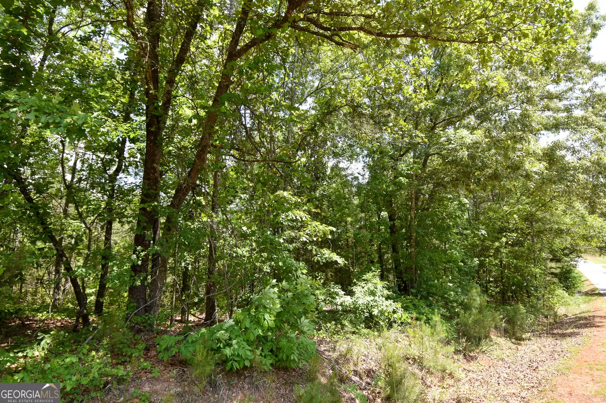 Thomaston, GA 30286,0 Skelton RD #LOT 13