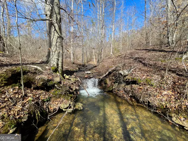 Armuchee, GA 30105,239 +/- Acres on Floyd Springs Road