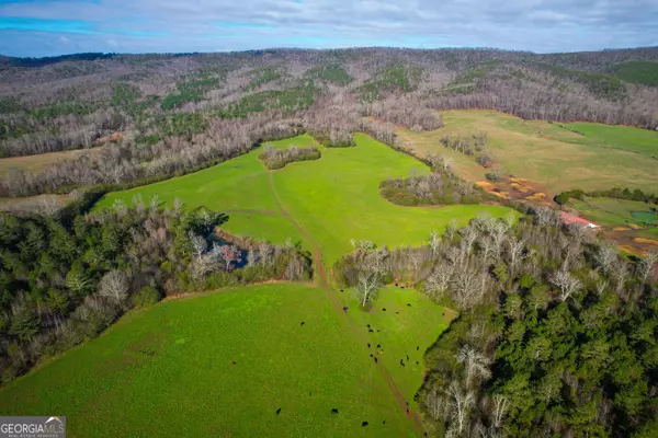 239 +/- Acres on Floyd Springs Road, Armuchee, GA 30105