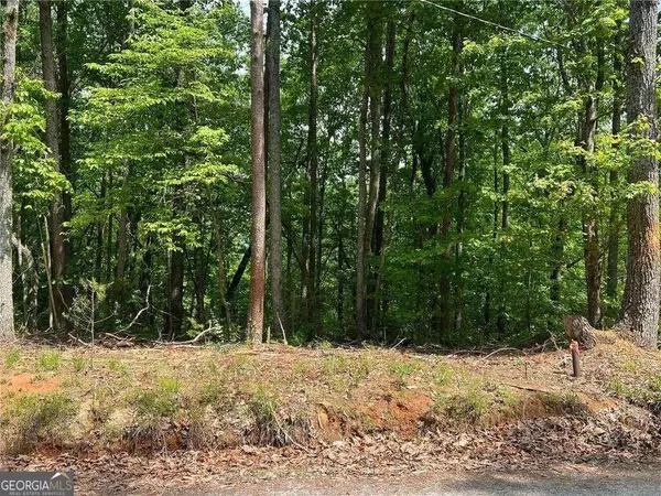 Dawsonville, GA 30534,0 Ridge RD #LOT 46