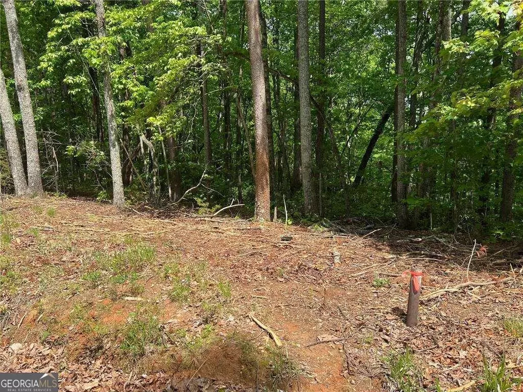 Dawsonville, GA 30534,0 Ridge RD #LOT 46