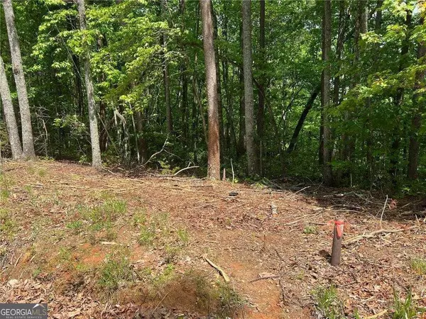 0 Ridge RD #LOT 46, Dawsonville, GA 30534