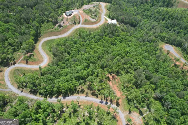 Ellijay, GA 30540,LOT 178 Canoe Point