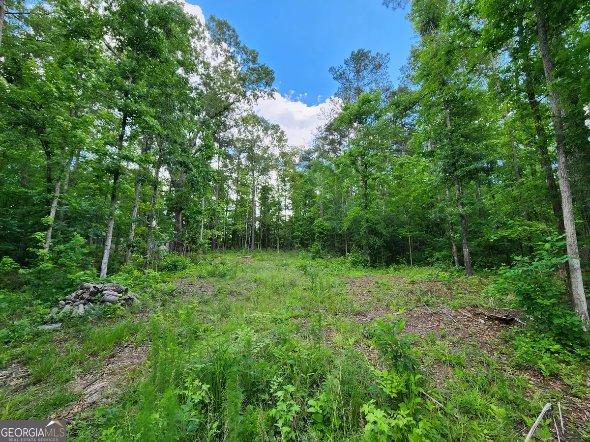 Sparta, GA 31087,LOT 165 Sycamore Dr