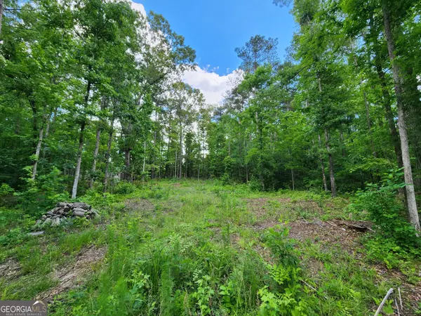 LOT 165 Sycamore Dr,  Sparta,  GA 31087