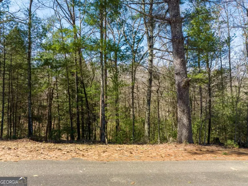 LOT 164 Shenendoa DR, Ellijay, GA 30540