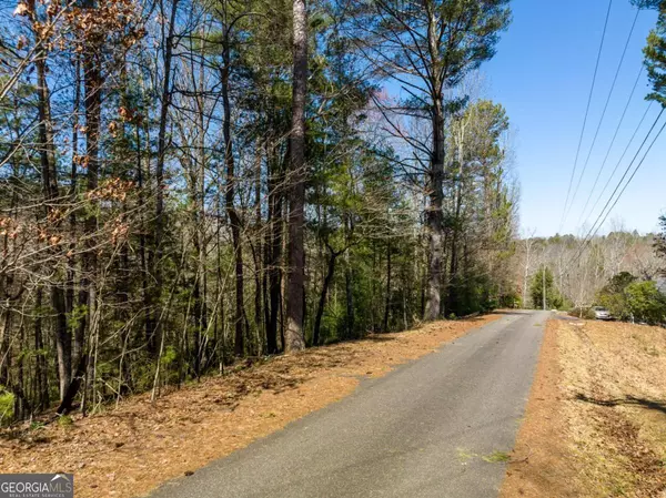 Ellijay, GA 30540,LOT 164 Shenendoa DR