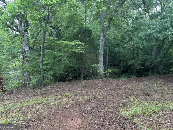 Hiawassee, GA 30546,LOT 2 Highland Hills