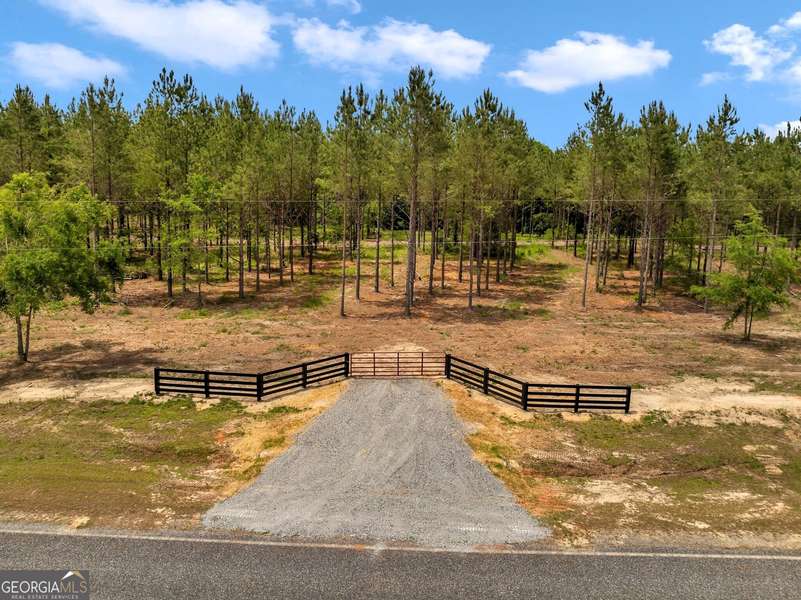 0 Dewey Thomas RD #LOT 4, Dexter, GA 31019