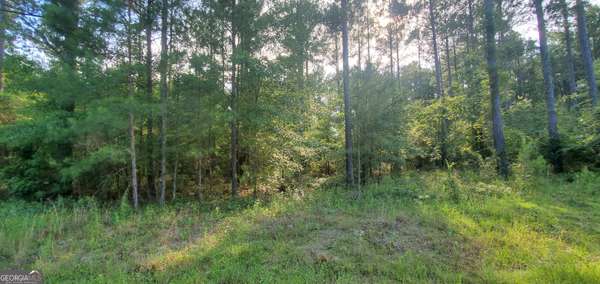 Lyons, GA 30436,0 Southside DR #1.00 AC-SOUTHSIDE DR-PARC