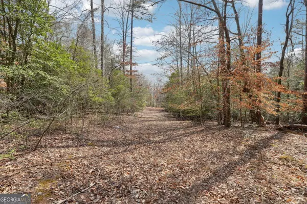 Dahlonega, GA 30533,05 Kate Road