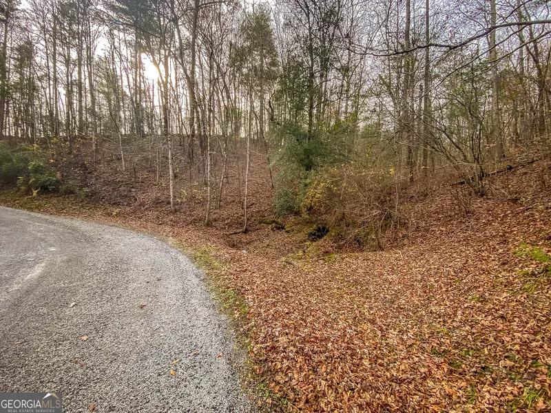 LOT 61 Bmw DR, Ellijay, GA 30540