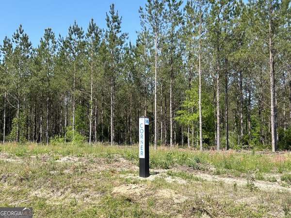 Dexter, GA 31019,0 Dewey Thomas RD #LOT 14