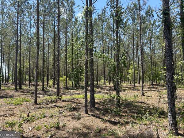 Dexter, GA 31019,0 Dewey Thomas RD #LOT 14