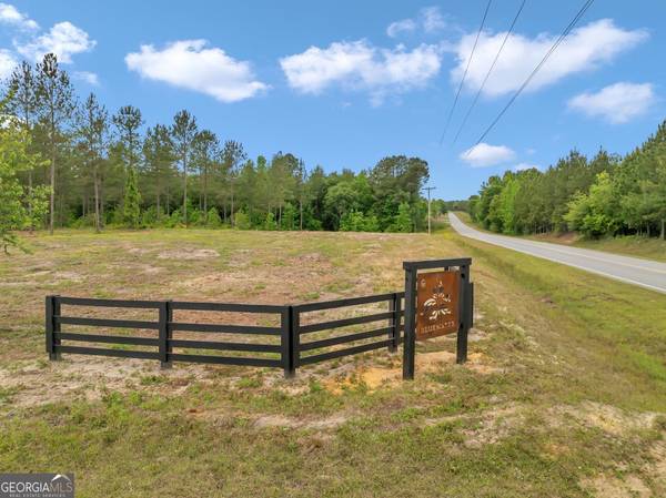 Dexter, GA 31019,0 Dewey Thomas RD #LOT 15