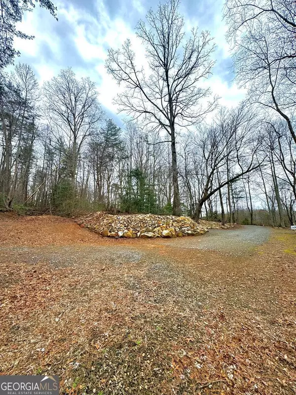 Ellijay, GA 30536,8.03 AC E New Hope