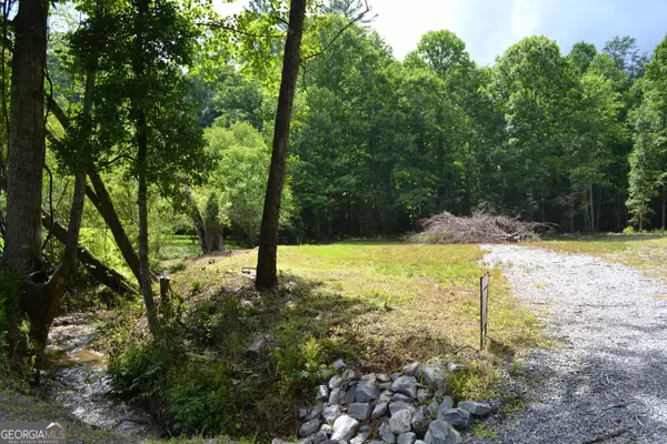 Sautee Nacoochee, GA 30571,0 Chastain Rd